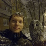 Сова неясыть - 2.jpg